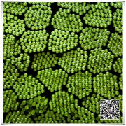 J92950焊接要求